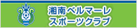 特定非営利活動法人湘南ベルマーレスポーツクラブ